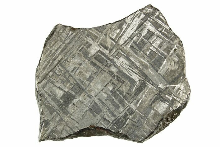 Etched Gibeon Iron Meteorite ( g) Slice - Namibia #334667